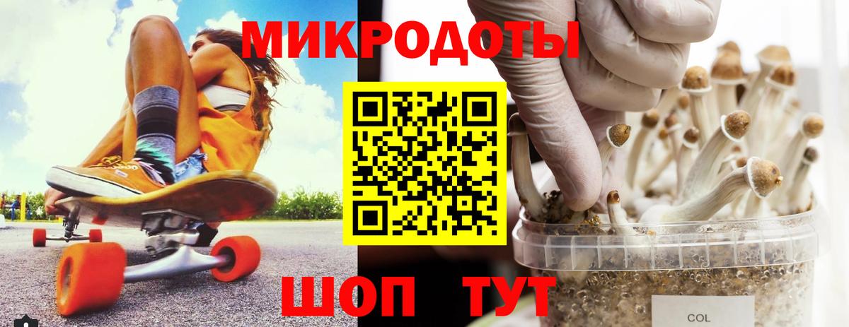Черногорск  цены наркотик  Вход с VPN  Галлюциногенные грибы мицелий 