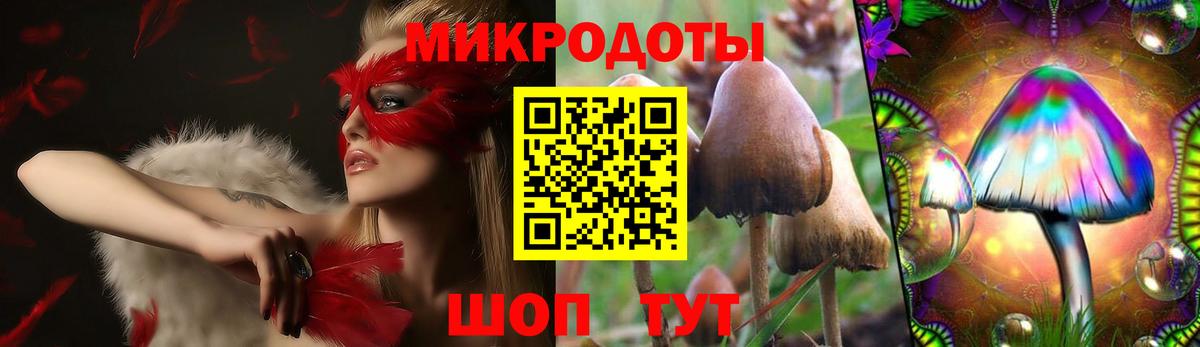 Галлюциногенные грибы мухоморы Черногорск